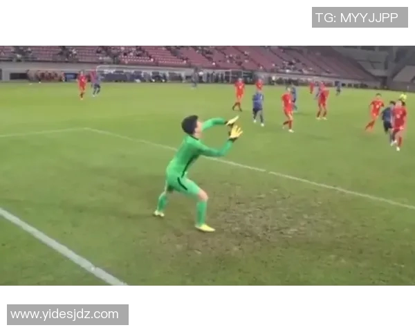 足球明星公仔人偶图片展现球场魅力与个性风采的完美结合